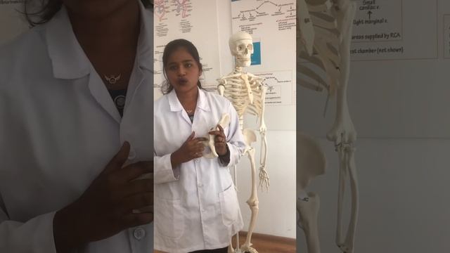 7 октября 2023 г. смотреть онлайн