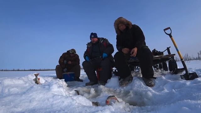 УВЕЛ ОТ ВСЕХ В РЫБНУЮ ЯМУ, и НАЧАЛОСЬ!!! смотреть онлайн