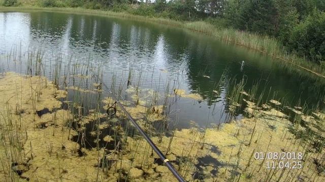 Щука и окунь на карьере и малой речке. Клев рыбы на спиннинг в августе. Жор окуня и щуки смотреть онлайн