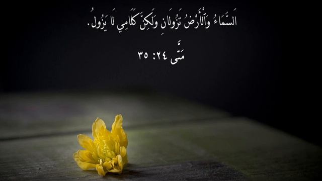 للمشككين في صحة الكتاب المقدس - الرد بآية واحدة-For those who doubt the authenticity of the Bible - смотреть онлайн