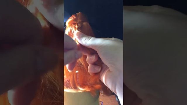 Простые прически на длиные и средние волосы смотреть онлайн