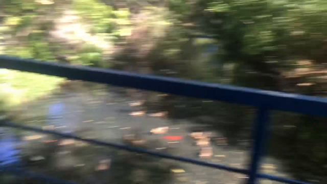 Зачем нужно кормить уточек смотреть онлайн