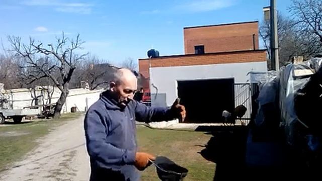 Спортивная переноска дров в корзинах. смотреть онлайн