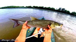 Рыбалка с ночевкой на крупного жереха. Разведка новых мест для рыбалки. Рыбалка на нижней Волге