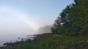 №52 Настройка и восстановление вибрационных структур