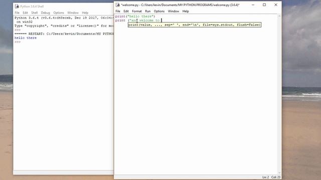 Python Programming 1. Output смотреть онлайн