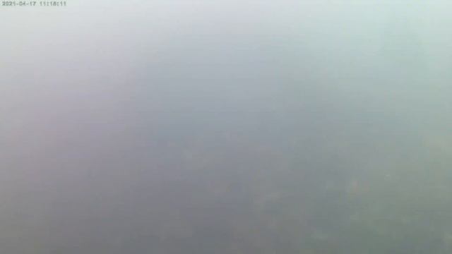 Камчатский краб, морской Ёж. смотреть онлайн