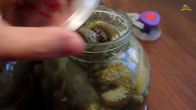 Вкуснейшие консервированные огурцы на зиму без термообработки и уксуса! (08.22г.) Семья Бровченко. смотреть онлайн