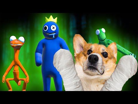 РАДУЖНЫЕ ДРУЗЬЯ СЛОМАЛИ ЛАПКИ КЕКСУ!! Хаски Бандит Говорящая собака смотреть онлайн