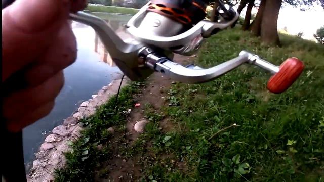 Прикольная рыбалка на пруду в черте города смотреть онлайн