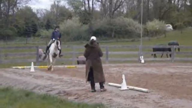 ~Not Afraid~ Dressage Show смотреть онлайн