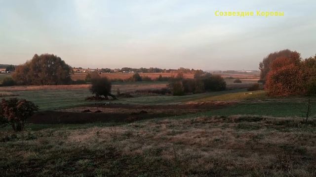 Заморозки 2023