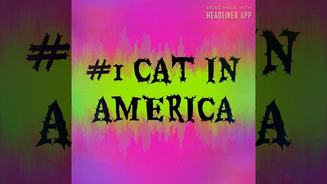 #1 CAT IN AMERICA SONG BY LESLIE HALL смотреть онлайн