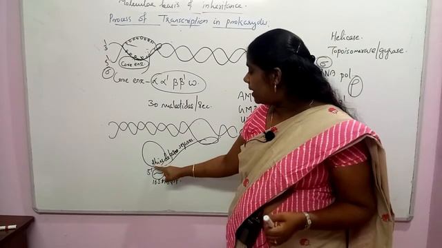 Molecular Basis Of Inheritance Session 11 NEET Biology Classes In Malayalam (Sumi) смотреть онлайн