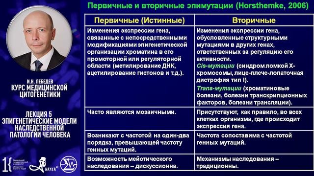 И.Н. Лебедев - Курс медицинской цитогенетики. Лекция 5 смотреть онлайн