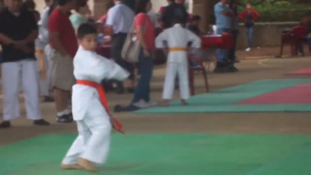 dojo avalos kata pedro luis смотреть онлайн