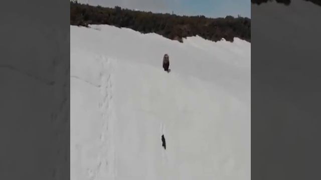 Когда ты думаешь что не можешь решить смотреть онлайн