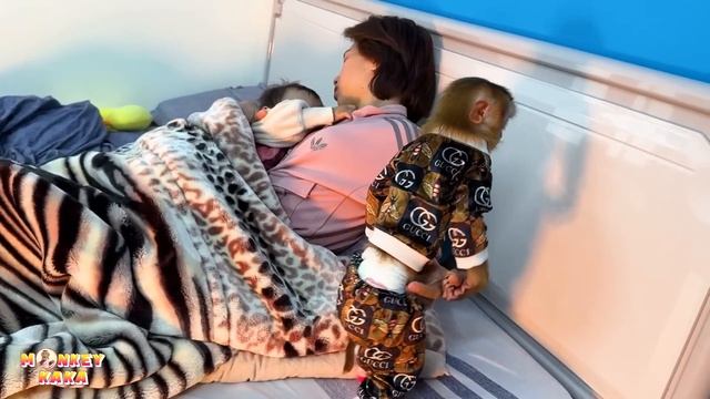 Monkey Kaka called mom to wake up and save the burnt pot of potatoes смотреть онлайн