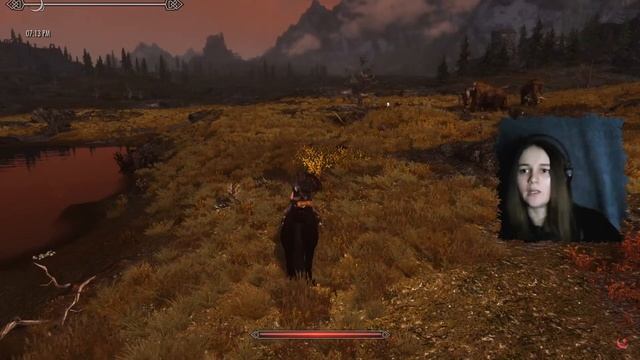 ИЩЕМ ПРИКЛЮЧЕНИЯ ► SKYRIM #18 ► Ordinator ► Легендарная сложность ► За некроманта смотреть онлайн