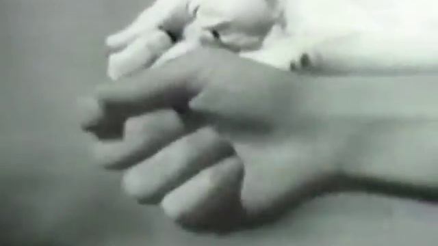 GROOVIE GOOLIES смотреть онлайн