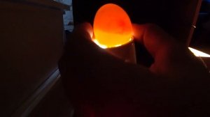 Проверка яиц на наличие зародыша! Инкубация яиц! 5 сутки инкубации яиц! 27.10.2021