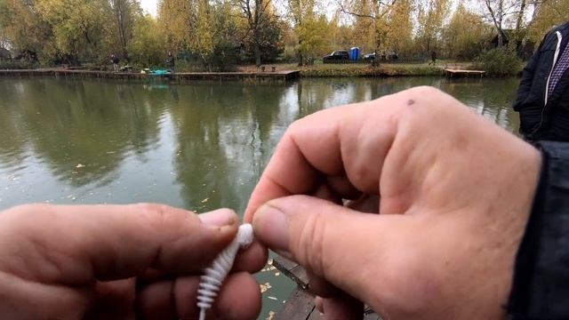 Спиннинг для ловли форели Пробую бюджетный вариант смотреть онлайн