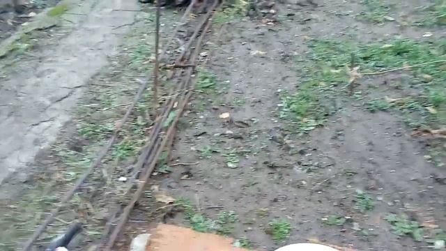 Кролики отбраковка  выход  мяса  в 3 месяца !!!