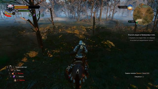 4 - Withcer 3 Ghost Mode - Полное прохождение