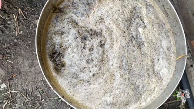 Органическая подкормка винограда. Дополнение смотреть онлайн