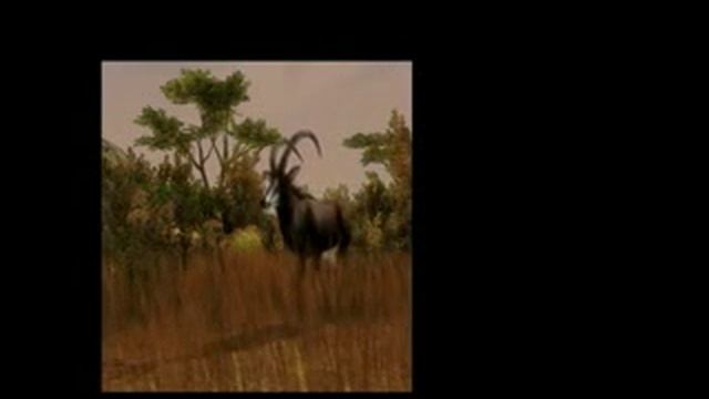 Cabelas African Safari - Xbox 360 смотреть онлайн
