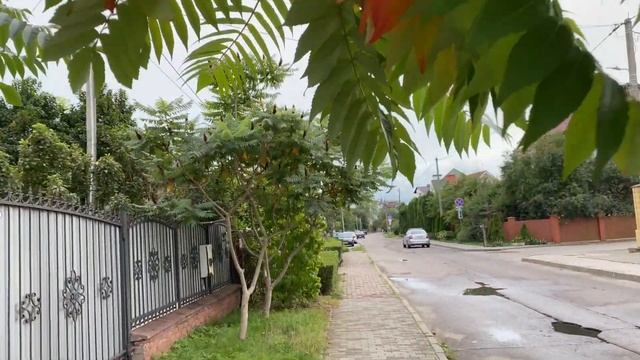 Калининград: ул Менделеева, Красносельская, Кутузова смотреть онлайн