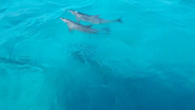 Египет Апрель 2019 смотреть онлайн