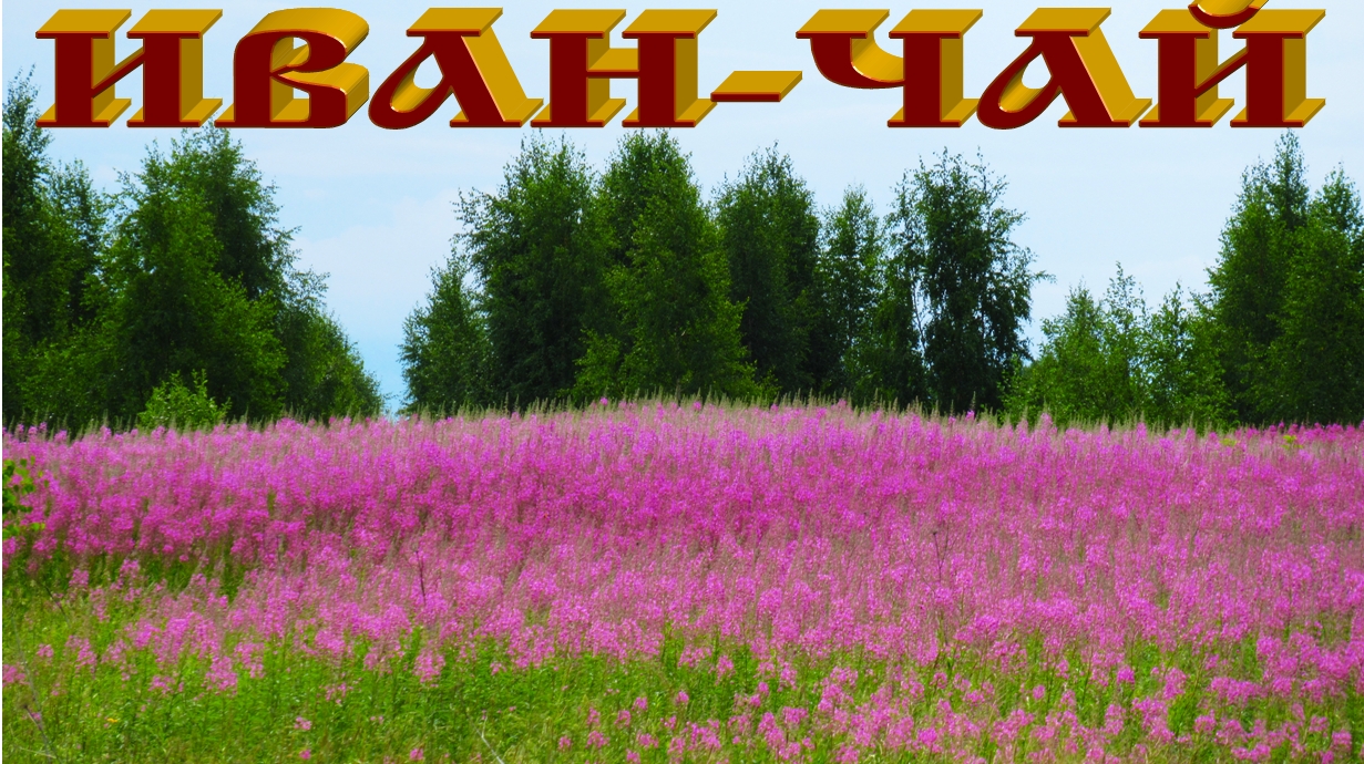 Иван-чай. смотреть онлайн