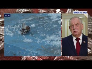 «Сенат». Выпуск от 4 февраля 2022 года