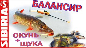Ловля щуки и окуня на балансир. Секреты ловли на Красноярском водохранилище (Бирюсинский залив)