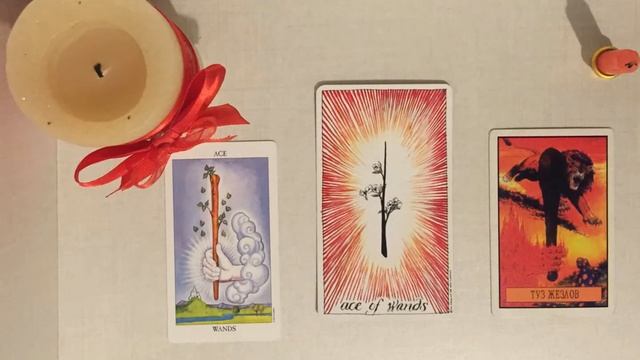 Туз посохов (жезлов) в колоде Дикого Неизвестного Таро смотреть онлайн