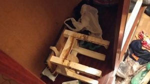Уборка и вывоз мусора после трупа, провисевшего несколько месяце и стекшего на пол.