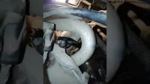 Самостоятельная установка стартера Nissan Almera N16 2005 1.8