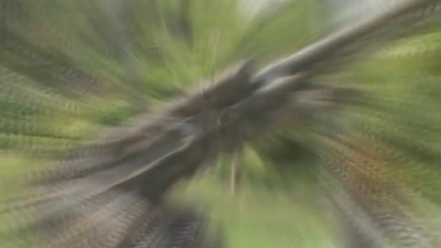 Papua New Guinea Overview