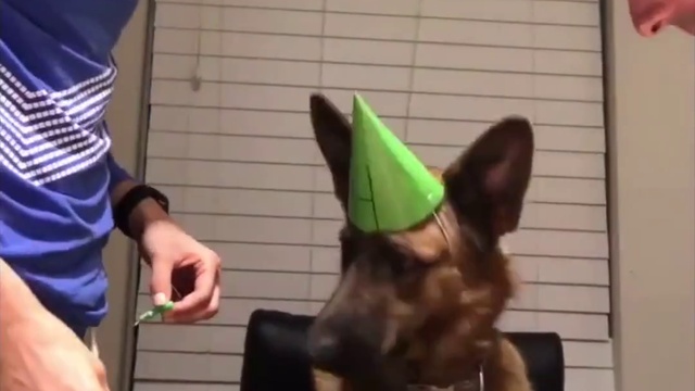 когда ты единственный ребенок а семье смотреть онлайн