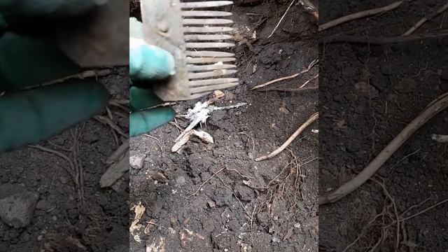 Шурф. В поисках серебра. Часть 1 смотреть онлайн