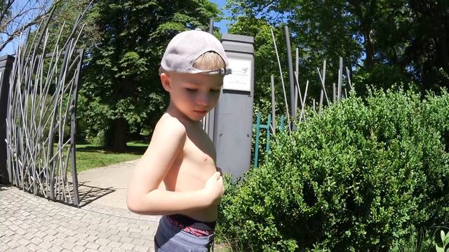 Vlog ● КУПАЮСЬ В ОДЕЖДЕ В ФОНТАНЕ УКУСИЛА ПЧЕЛА Bathing in fountains NATION UNIES GENEVE смотреть онлайн