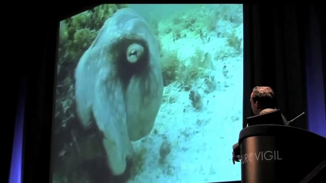 ЗАГАДКА СОЗНАНИЯ (ЧАСТЬ 1) смотреть онлайн