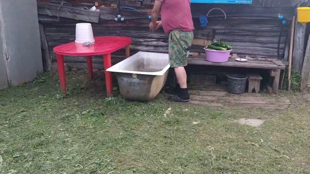 ЗАСОЛКА ОГУРЦОВ В БОЧКУ - ЧАСТЬ 1 / СЕЛО НЕБЫЛОЕ [2020 год] смотреть онлайн