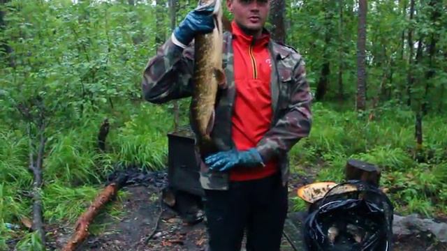 Хибара и щуки 3. Ловля щуки на спиннинг