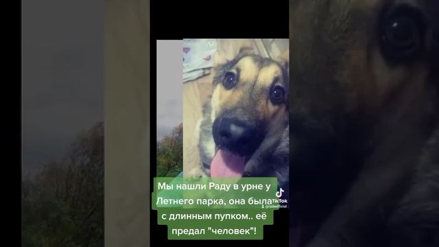 История Радочки ❤(вся история в описании , в шапке профиля)