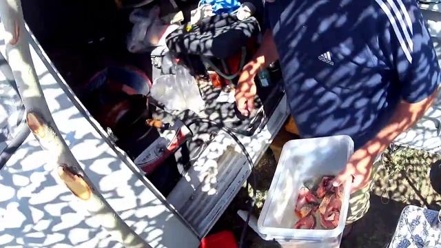 Рыбалка на Или Алматы Казахстан 2021\Готовим обед Жарим свежую рыбу и душевно отдыхаем смотреть онлайн