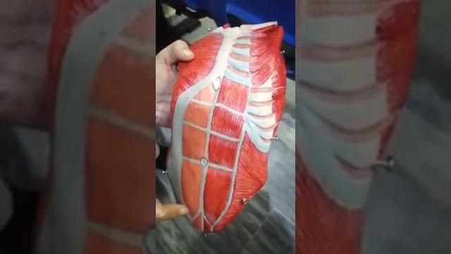 Git ospe module models part#4 смотреть онлайн