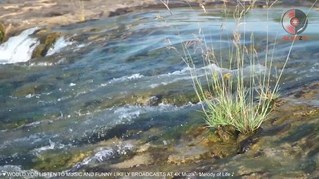 Best Of SPANISH GUITAR : Rumba - Tango - Mambo - Samba | Beautiful Spanish Guitar Music Hits смотреть онлайн