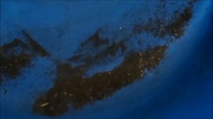 Ремонт котла. Ошибка АА. Ардерия. #теплообменник.